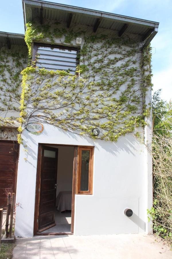 마르델플라타 Casita Moderna Frente Al Bosque 아파트 외부 사진